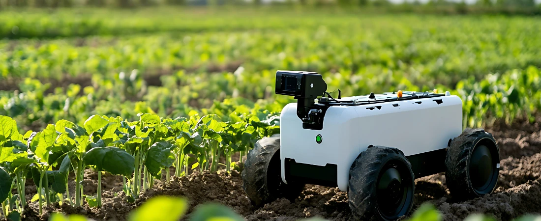 The Influence of Autonomous Camera Systems on Live Sports Broadcasting