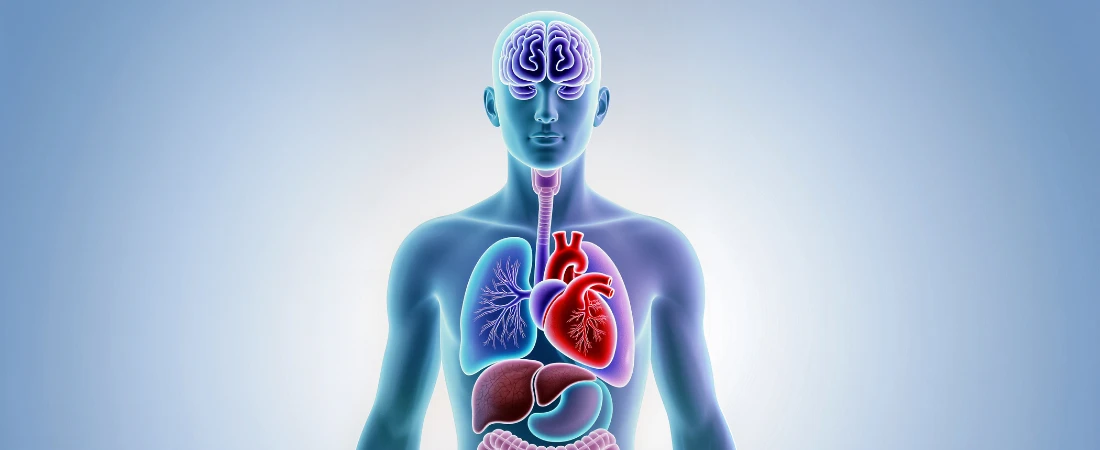 How Script-to-Reality Engines Instantly Generate Cinematic Worlds From Natural Language