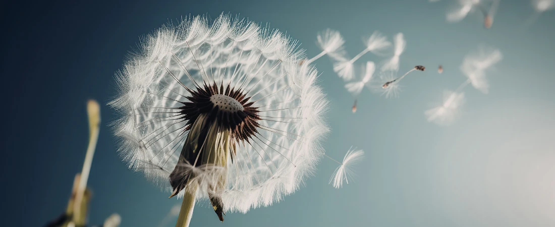 The Invisible “Engagement Decay Curve” That Determines When a Series Stops Being Promoted