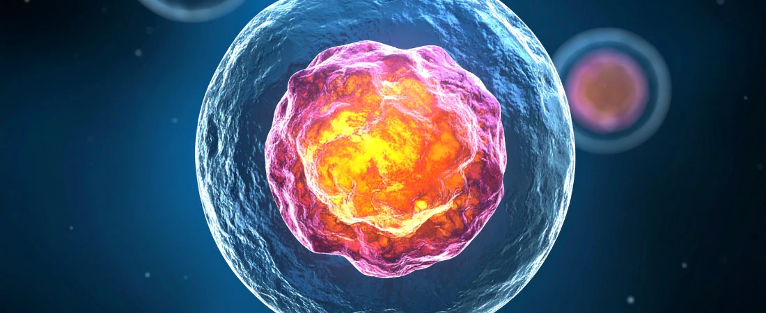 Why Episode Structures Are Being Designed for Second-Screen Viewers