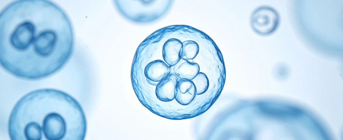 Why Episode Structures Are Being Designed for Second-Screen Viewers