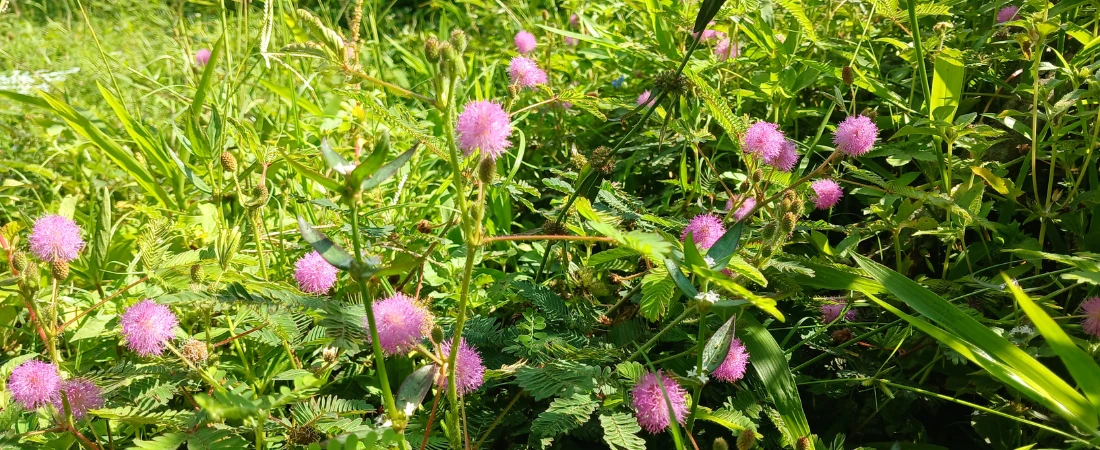 The Hidden Attention Metrics That Decide Which Stories Get Promoted—and Which Vanish