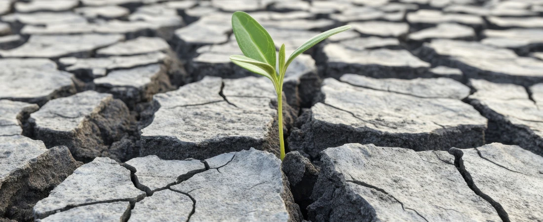 Why Modern Story Arcs Are Flattening—and How Algorithms Prefer Emotional Consistency