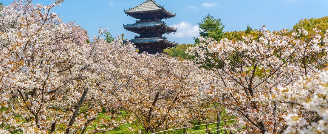 Slow Travel Movement: Why Fewer Destinations Create Deeper Experiences