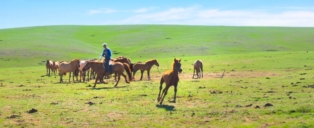 Digital Nomad Life: Best Countries, Costs, and Visas in the Remote Work Era