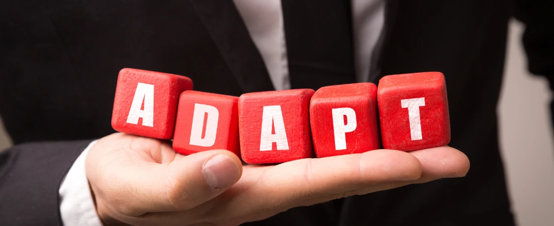 Saving in an Unstable Economy: Adaptive Strategies for Inflation, Job Shifts, and Emergencies