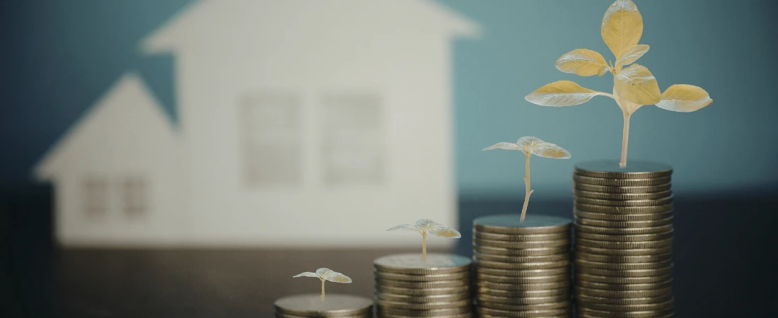 Default Wealth Building: How Financial Systems Grow Money Without User Engagement