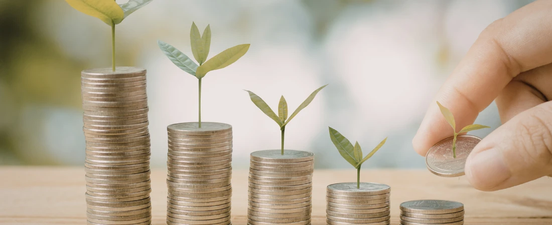 Autopilot Wealth Systems: How Money Grows While Users Stay Financially Passive