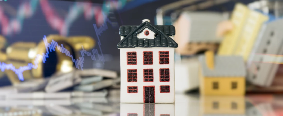 Income-Volatility Finance: Saving Strategies for Unpredictable Earnings