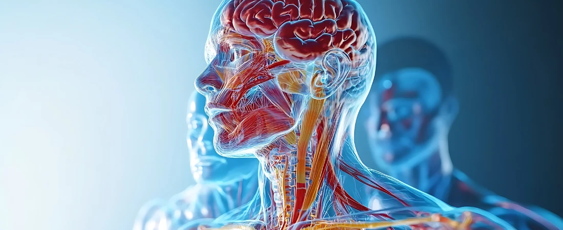 Nervous-System Aligned Travel: Designing Journeys That Regulate Stress Instead of Creating It