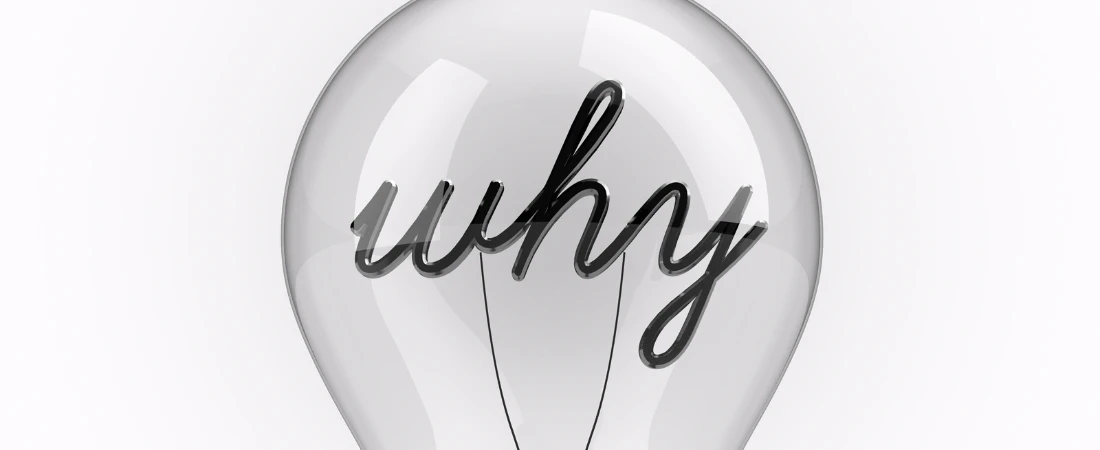 Passive Discipline Systems: How Money Grows Without Motivation