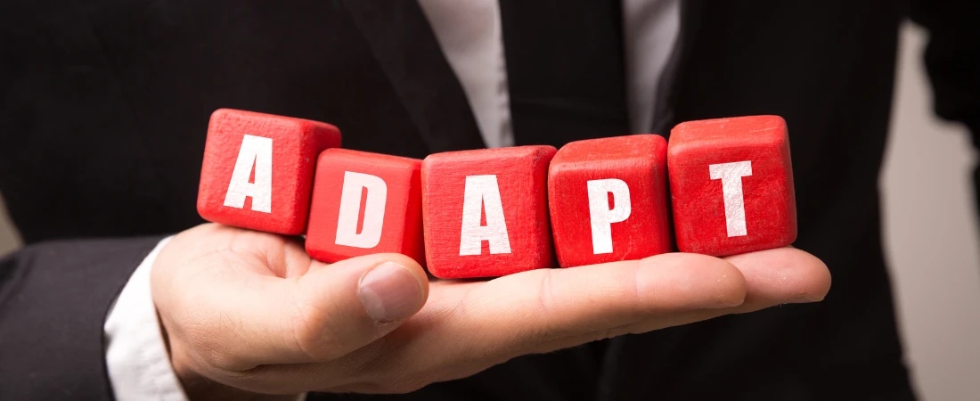 Adaptive Savings Models: Financial Planning for Unstable Economic Realities