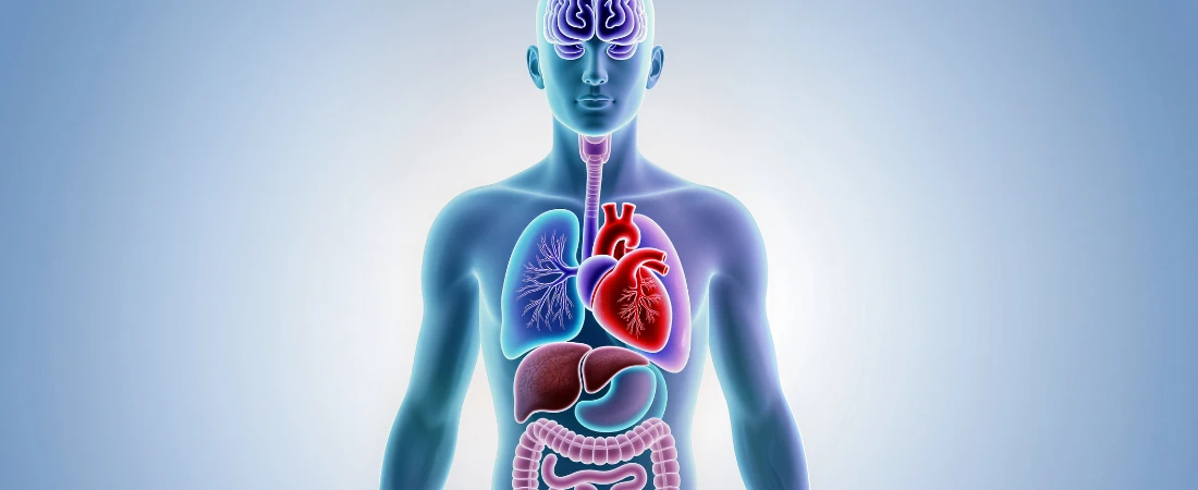 Attention-Preservation Systems: Engineering Tech for Long-Term Cognitive Health