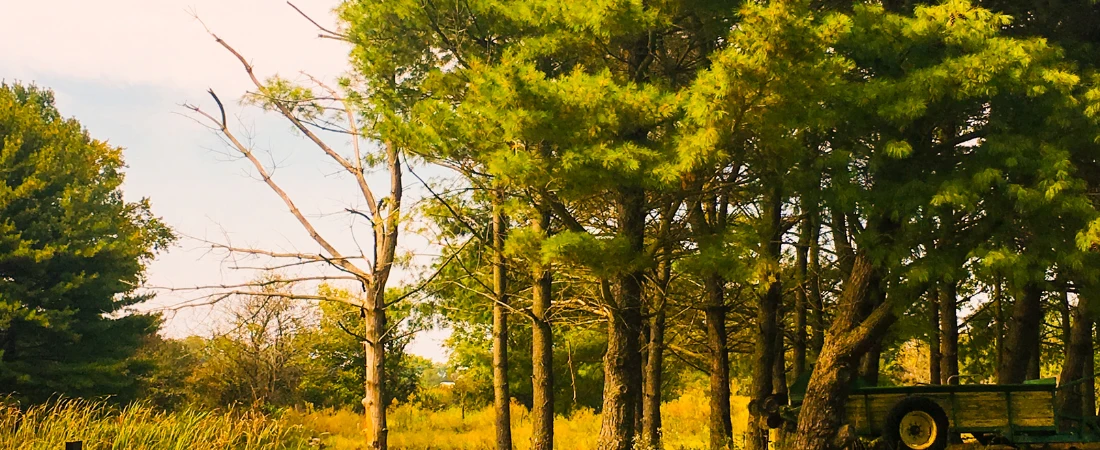 Regenerative Travel Design – How Destinations Are Shifting From Stimulation to Restoration