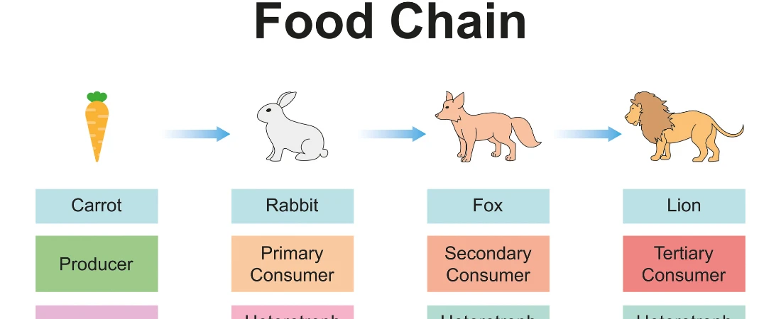 Nervous-System First Travel – Designing Destinations That Regulate Stress Before It Appears