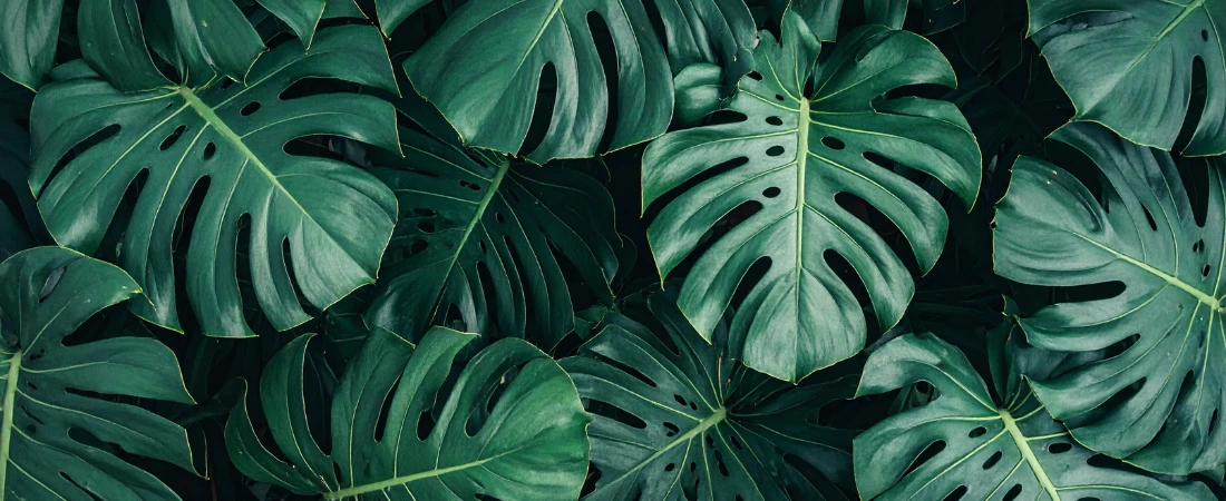 Emotional Cost Blind Spots – The Hidden Feelings That Quietly Drain Your Money