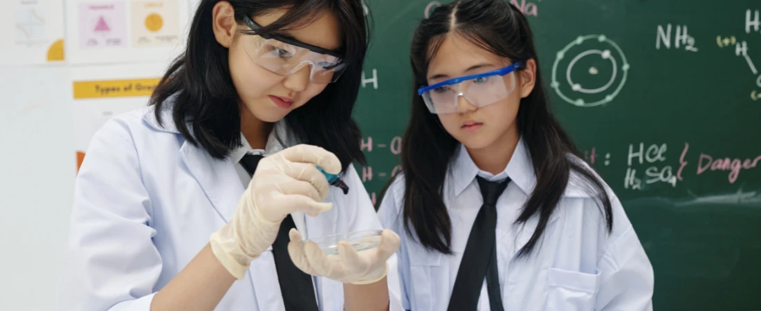 Cognitive Recovery Destinations – Places Built to Restore Mental Energy, Not Impress