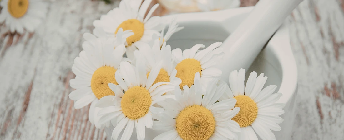 Non-Extractive UX – Interfaces That Don’t Compete for Attention or Emotion