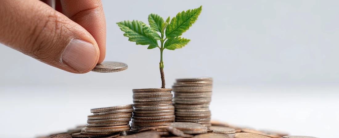 Identity-Safe Wealth Design – Saving Money Without Becoming Someone Else