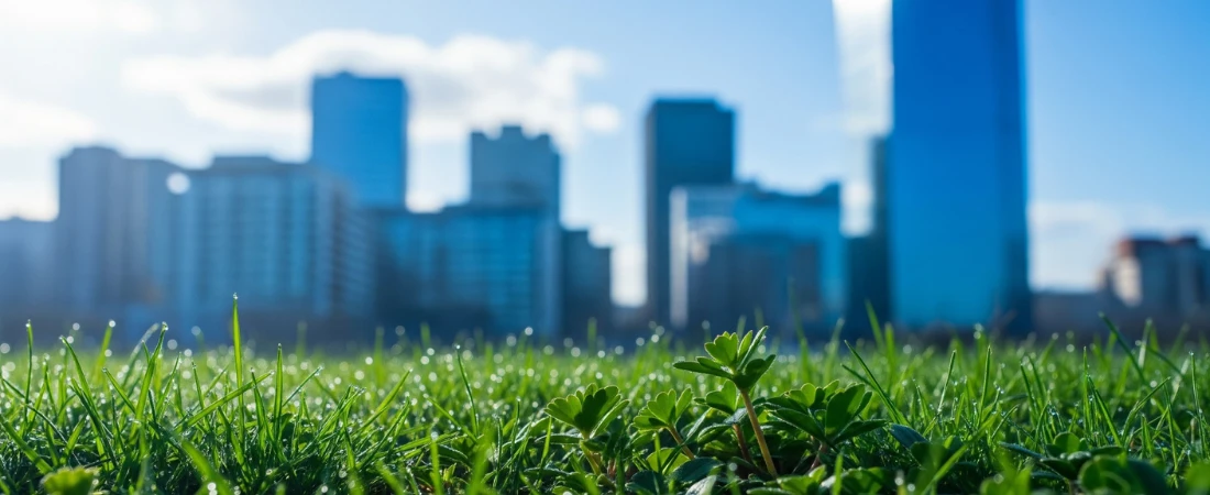 Quiet Tech Movements: The Shift Away From Constant Digital Stimulation