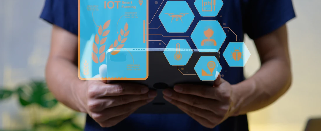 Automation as Emotional Relief: Saving Money Without Willpower