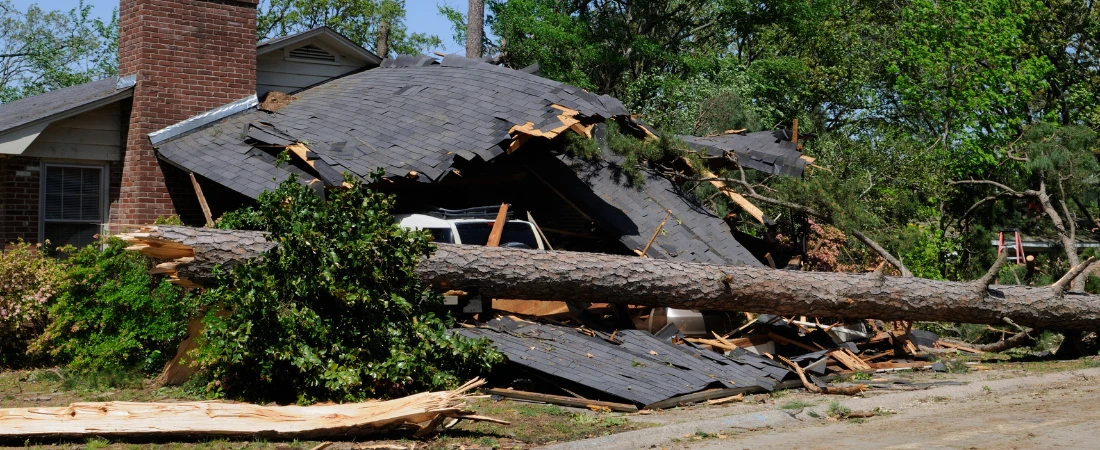 Slow-Signal Technology – Tools That Communicate Without Triggering Urgency