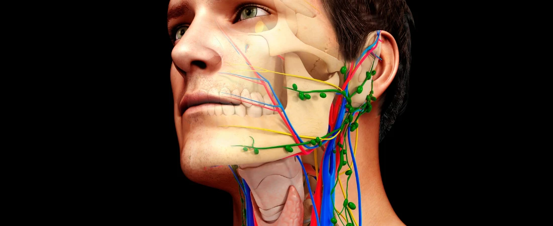 Nervous-System-Aligned Finance – Money Systems That Reduce Stress Instead of Creating It