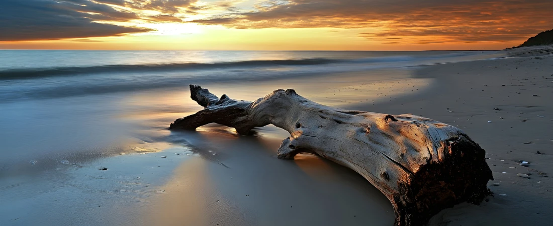 Background-Respectful Software – Tools That Know When Not to Speak