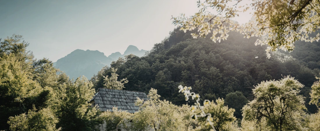 Reversible Commitments – Planning Trips That Allow Easy Retreat Without Failure