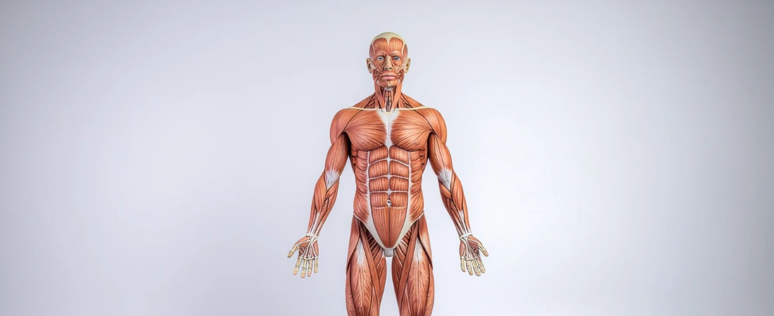 Response-Time Normalization – Designing Systems That Expect Human Slowness