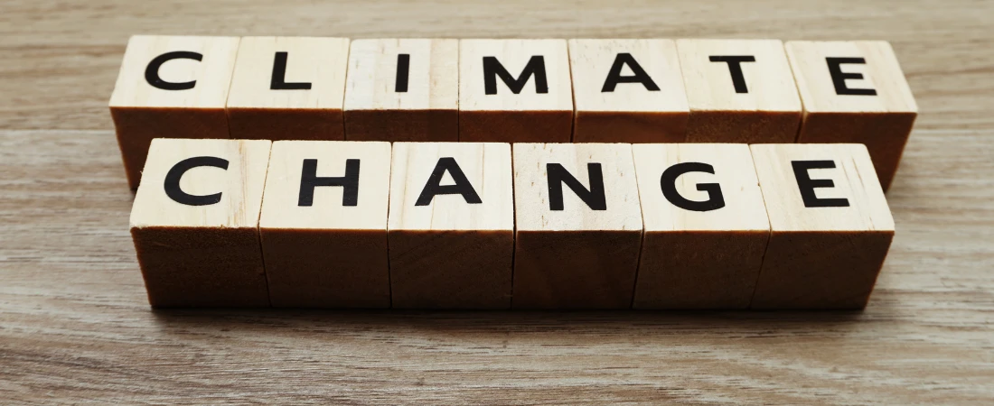 Routine-Carry Travel Systems – Bringing Small Daily Habits Across Borders for Stability