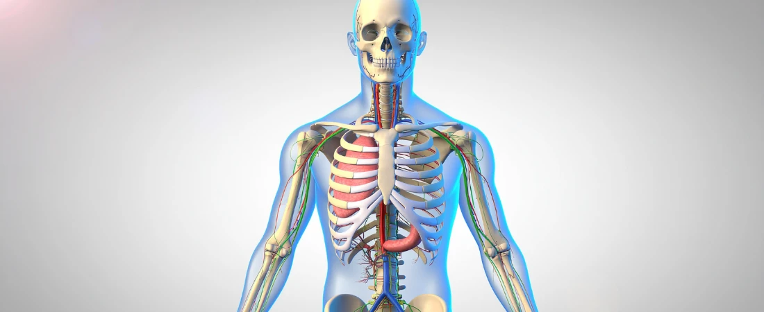 Arrival Decompression Mapping – Designing the First 24 Hours to Stabilize Energy and Mood