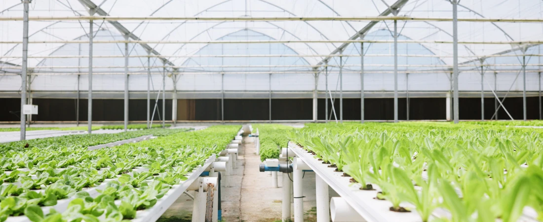 Focus-Safe Device Layouts – Structuring Phones and Desktops to Protect Deep Work