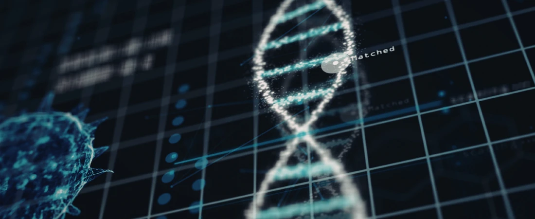 Digital Boundary Architecture – Designing Clear Start and End Points for Tech Use