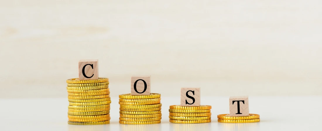 Future-Expense Mapping – Visualizing Upcoming Costs Before They Become Emergencies