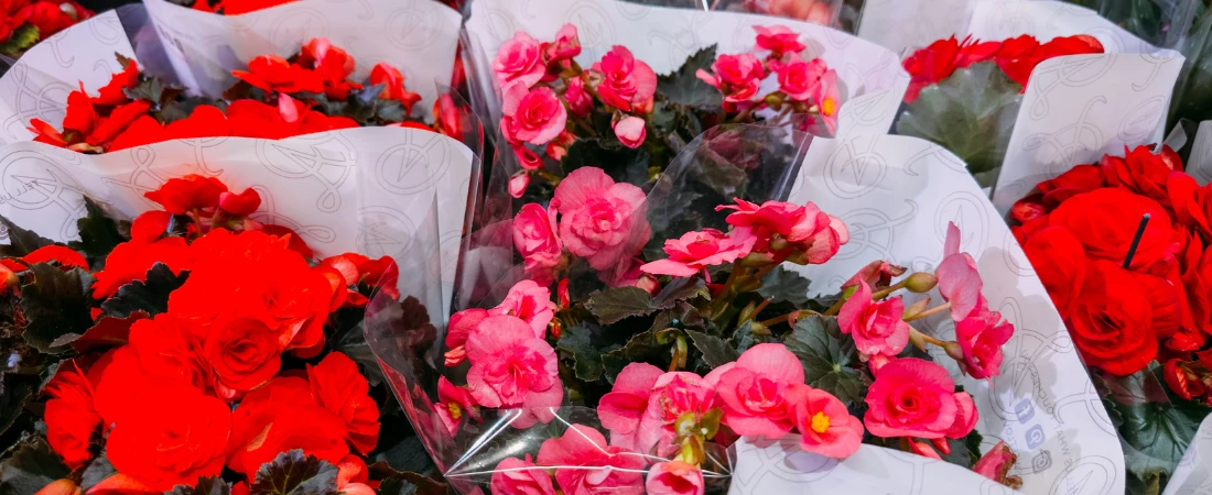 Impulse-Resistant Spending Design – Building Environments That Make Overspending Harder