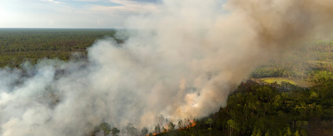 Dopamine-Stable Tech Habits – Using Devices Without Triggering Reward-Loop Dependency