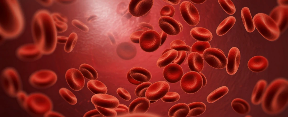 Arrival Nervous-System Reset Protocols – Designing the First 12 Hours in a New City to Prevent Overstimulation and Travel Fatigue