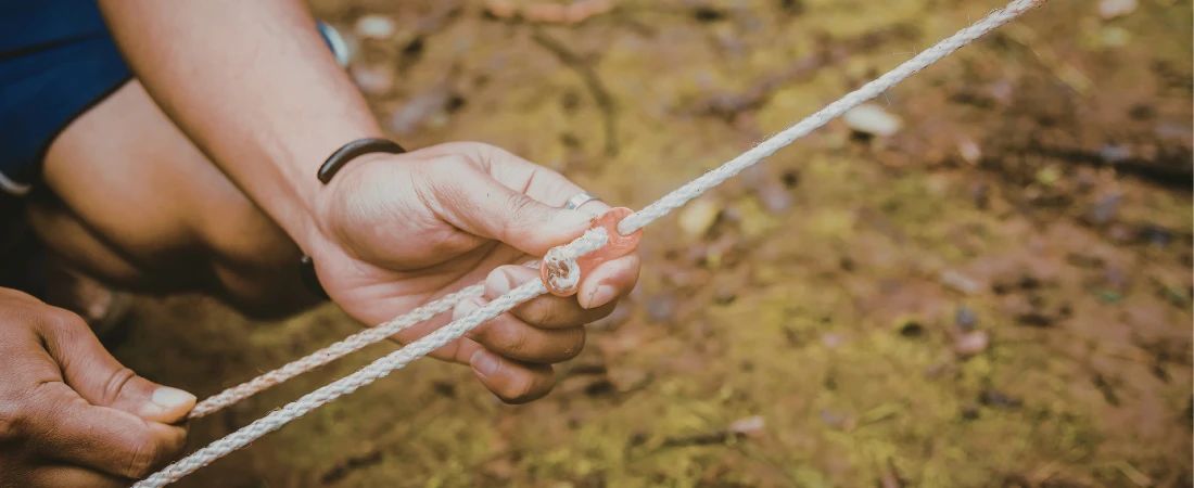 Jet-Lag Recovery Layering – Stacking Light Exposure, Meal Timing, and Movement Patterns to Accelerate Biological Adjustment