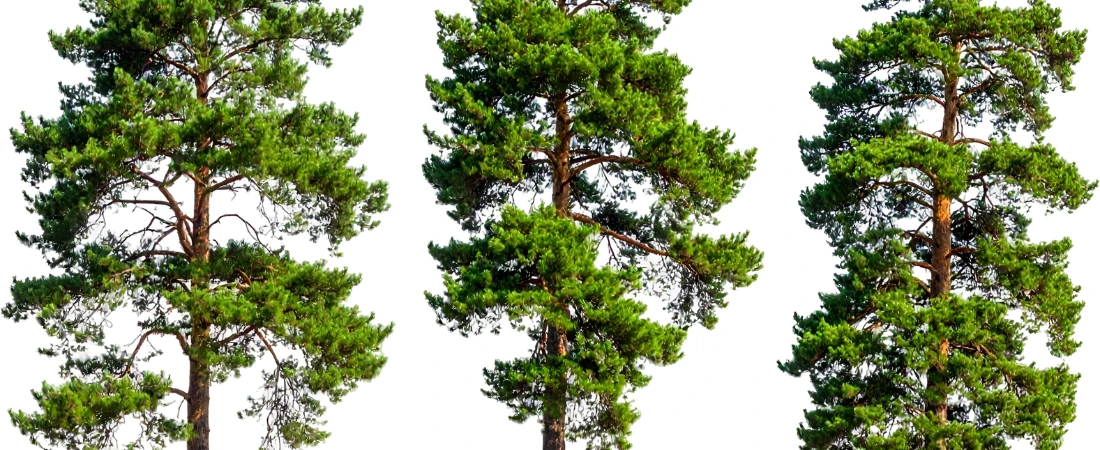 Task-Mode Interface Structuring – Separating Creation, Consumption, and Communication into Distinct Digital Environments