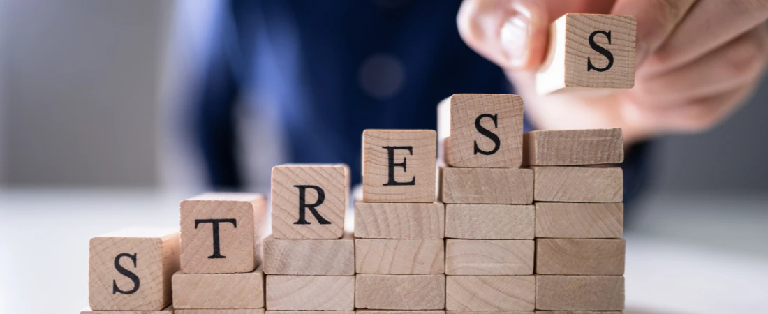 Adaptive Budget Flex Systems – Designing Budgets That Adjust to Income Variability Without Psychological Stress