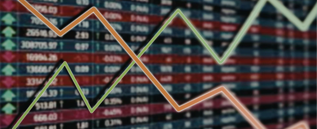 Volatility-Buffered Budget Systems: Structuring Finances for Income Instability