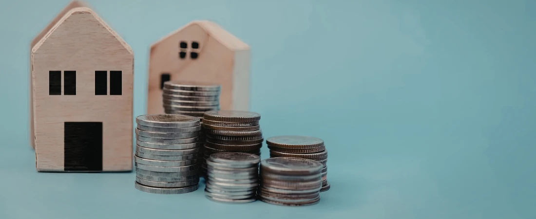 Volatility-Buffered Budget Systems: Structuring Finances for Income Instability