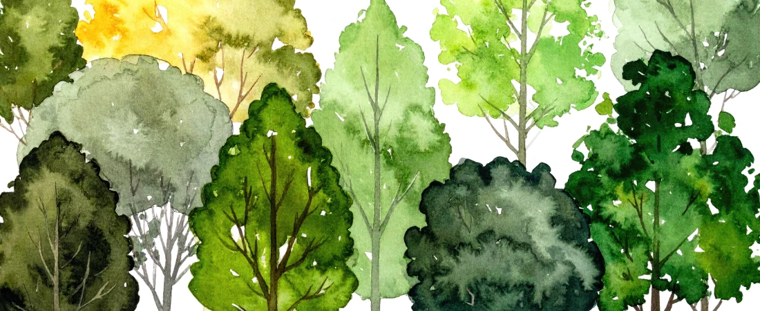 Microclimate Route Engineering – Designing Walking Paths Using Wind Flow, Shade Density, and Surface Heat Data