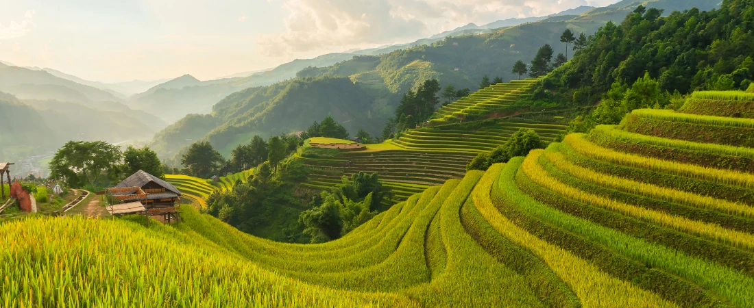 Slow-Gradient City Immersion Models – Reducing Cultural Shock Through Progressive Exposure Mapping