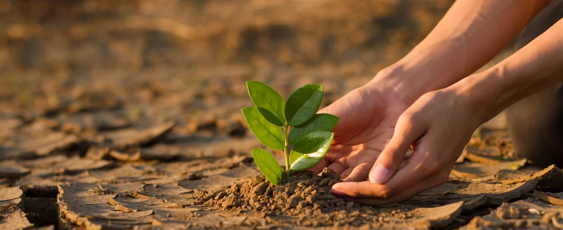 Resilient Destination Mapping: Identifying Cities and Regions Adapted to Climate Stress and Environmental Change