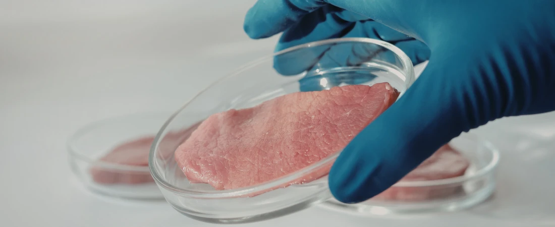 Sensory-Aware Cultural Immersion Design – Structuring Travel Experiences That Gradually Introduce Cultural, Linguistic, and Environmental Differences