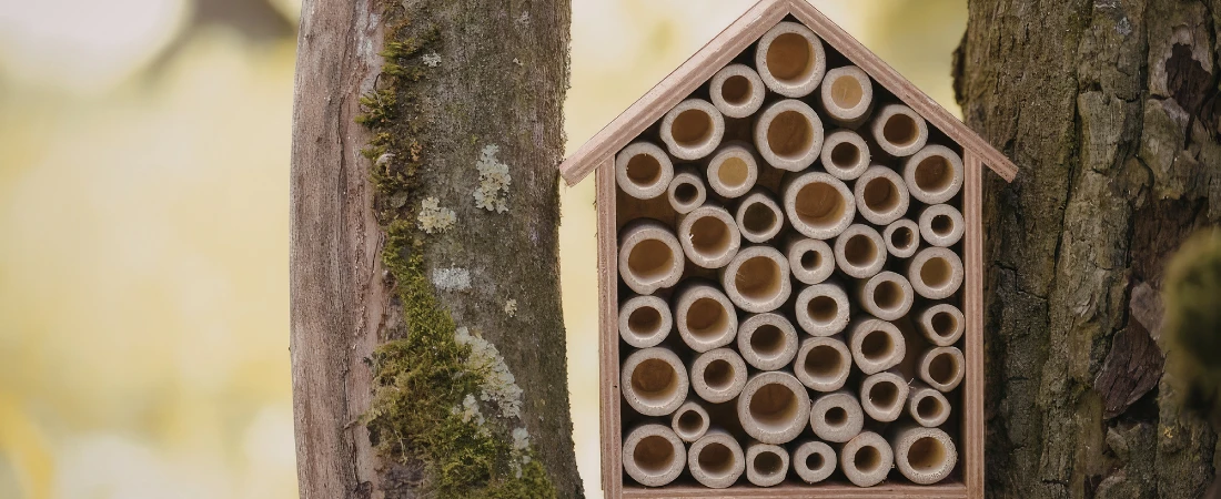 Eco-Sensitive Travel Corridor Design: Protecting Fragile Ecosystems While Enabling Responsible Exploration