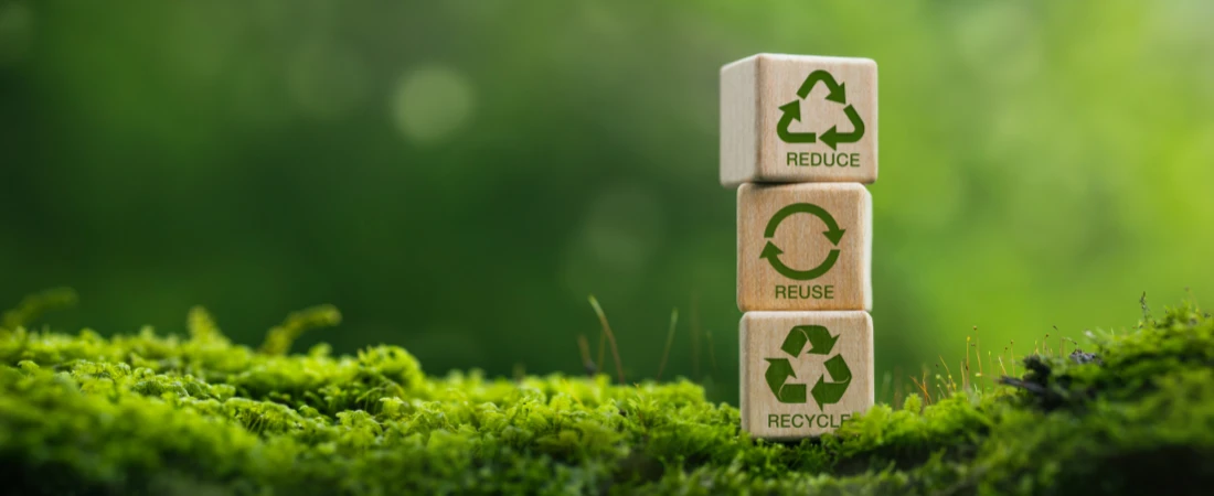 Urban Green Corridor Exploration Systems: Discovering Cities Through Nature Pathways