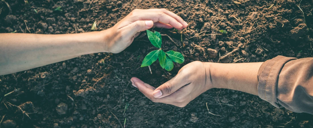 Resilient Destination Discovery Models: Finding Travel Locations That Protect Nature and Support Sustainable Development